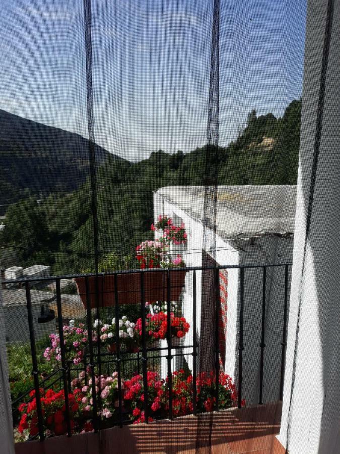 Refugio Alpujarra Alta Bed and Breakfast Trevélez Zewnętrze zdjęcie